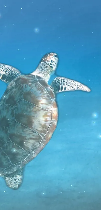 A serene underwater scene featuring a sea turtle swimming gracefully in blue waters.