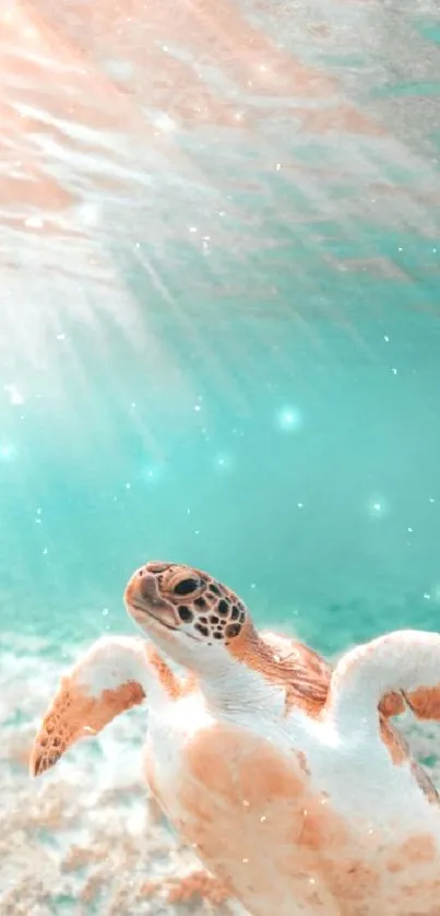 Serene sea turtle swimming in turquoise ocean waters.