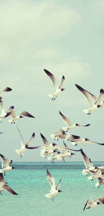 A flock of seagulls flies over a turquoise ocean under a light blue sky.