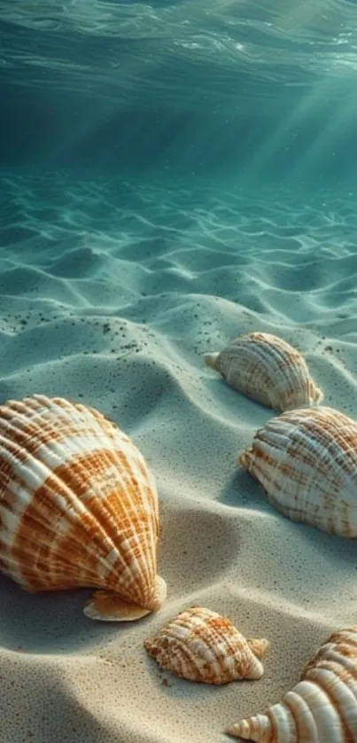 Seashells resting on sunlit sandy ocean floor, emanating peaceful vibes.