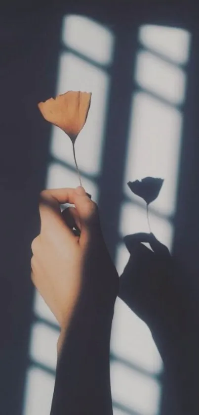 Hands holding flowers in soft, shadowy lighting on wallpaper.