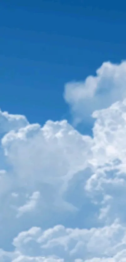 A tranquil blue sky with fluffy white clouds, perfect as a mobile wallpaper.