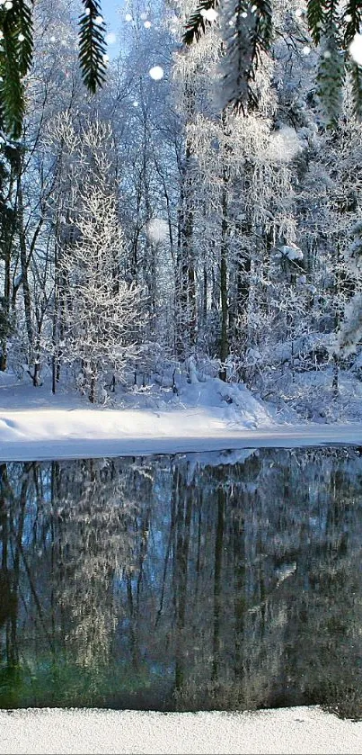 Serene snowy forest with a frozen river under pine trees.