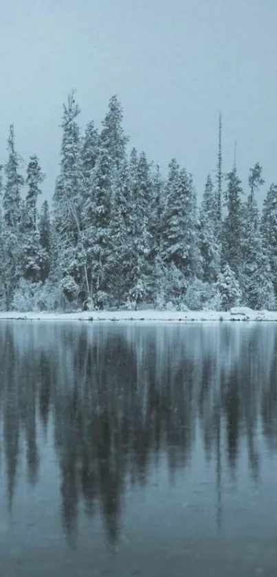 Snowy forest and reflection in winter scenery.