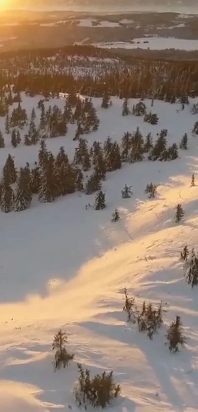 Aerial view of a snowy landscape at sunset with warm golden hues.