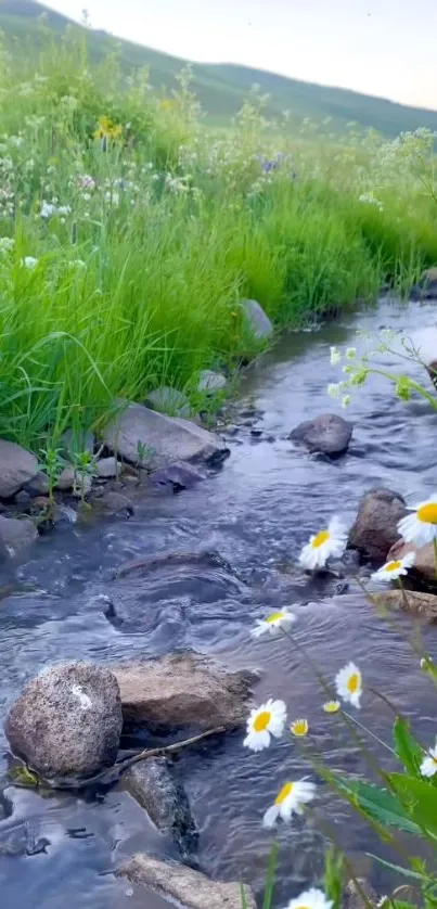 Stream flowing through a lush meadow with wildflowers and greenery.