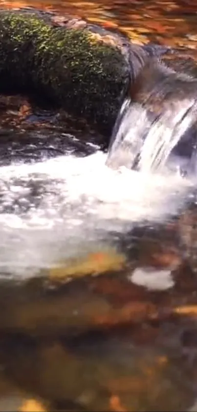 Serene stream waterfall with mossy rocks and clear water.