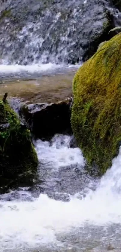 Peaceful stream flows over rocks with lush green moss in nature wallpaper.