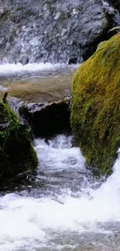 Tranquil stream with waterfall and moss-covered rocks.