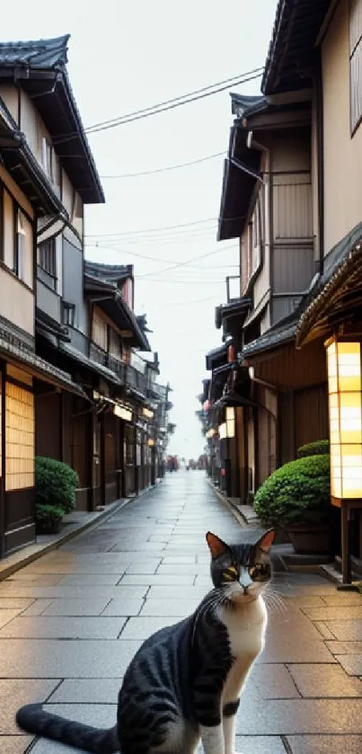 A street with a cat in a serene urban setting.