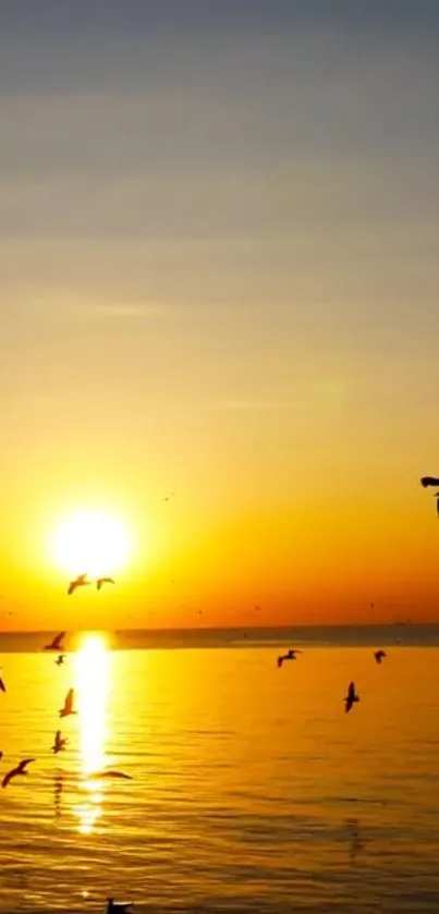 Serene sunset over ocean with birds flying across the warm orange sky.