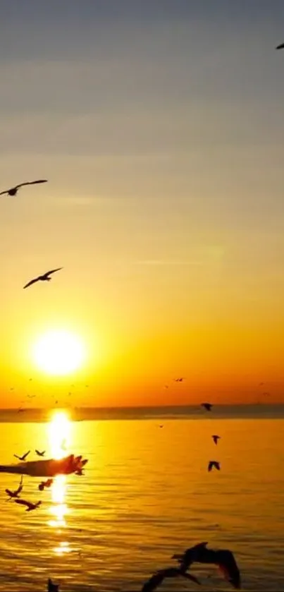 Serene sunset with birds over ocean reflecting golden hues.