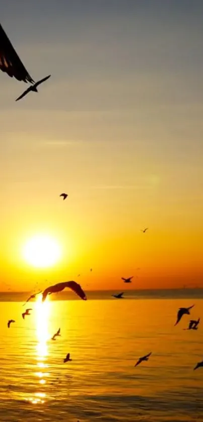 Golden sunset over ocean with birds flying