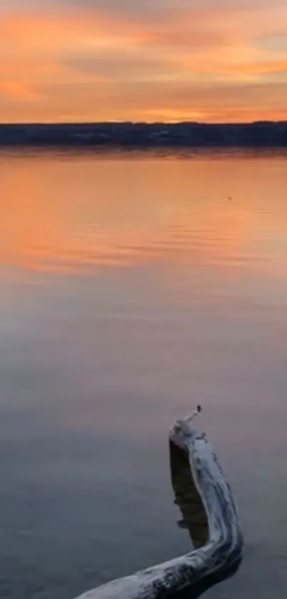 Serene sunset over calm lake with vivid reflections.