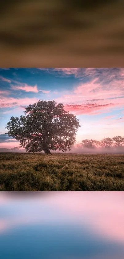 Tranquil tree under a pastel sunset sky on mobile wallpaper.