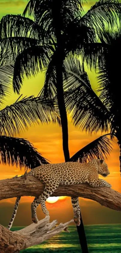 Leopard resting on a branch under palm trees at sunset.