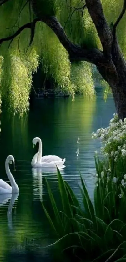 Two swans glide gracefully on a tranquil, greenish lake under lush trees.