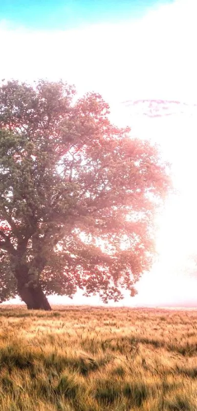 A tree stands in a tranquil grassy field under a clear blue sky.