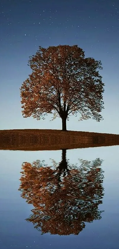 Lone tree reflected in a calm lake under a starry night sky.