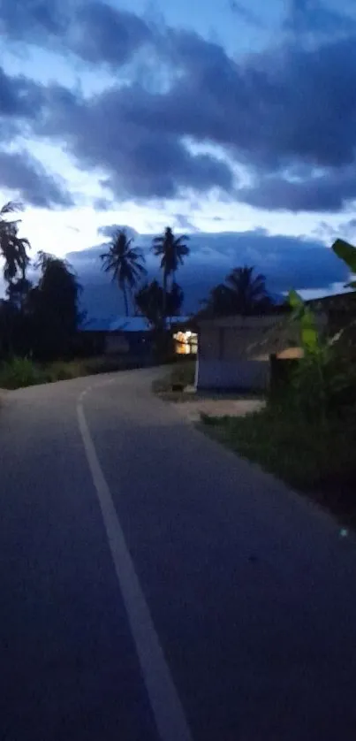 Tropical evening road with palm trees and a calm blue sky backdrop.