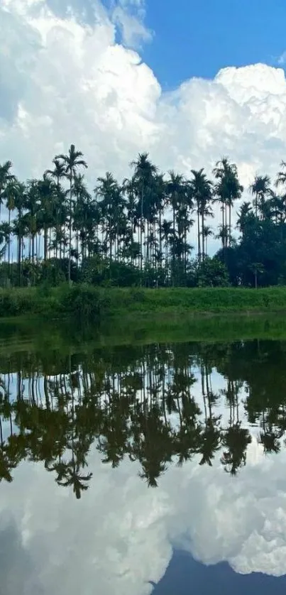 Tropical landscape with reflected palm trees and clouds.