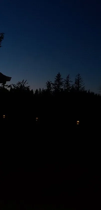 Twilight forest with silhouetted trees against a dark blue sky.