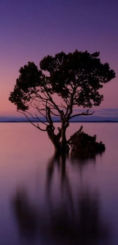 Purple sunset with silhouetted tree reflecting on calm water.