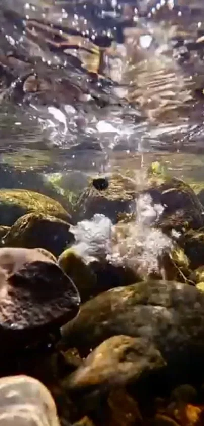 Underwater rocks and clear water create serene mobile wallpaper.