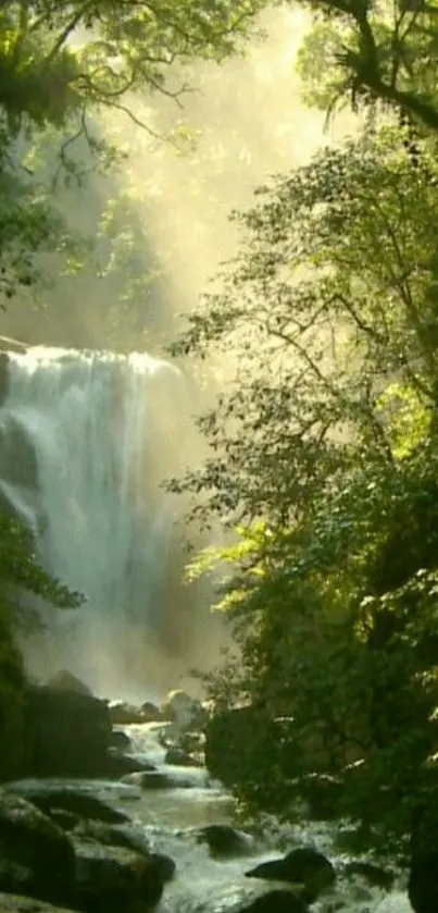 Waterfall flowing through a lush green forest scene, perfect for serene wallpaper.