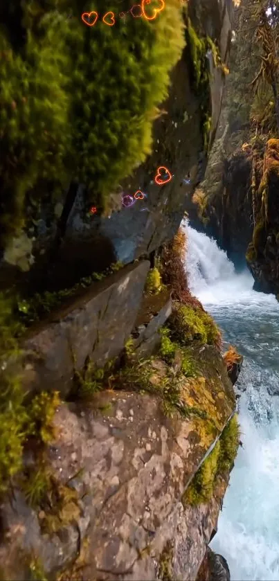 Lush forest waterfall scene with moss-covered rocks and flowing water.