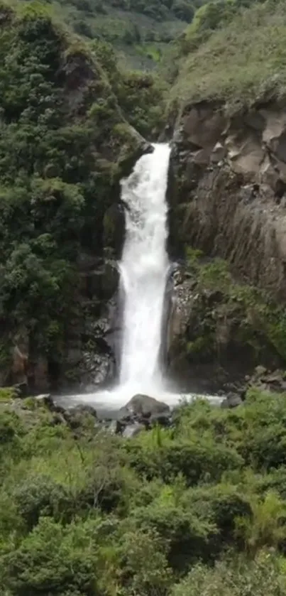 A beautiful waterfall cascading in a lush, green forest.