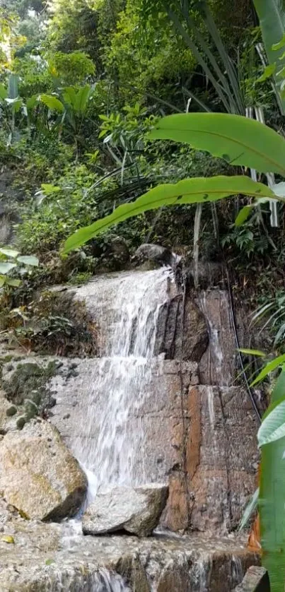 Waterfall amidst lush green forest landscape