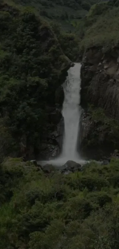 Majestic waterfall cascading in a dense forest setting.