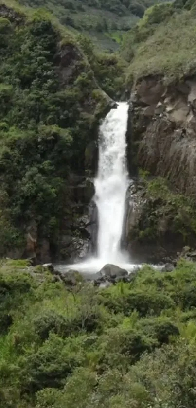 A serene waterfall amidst lush greenery, ideal for mobile wallpaper.