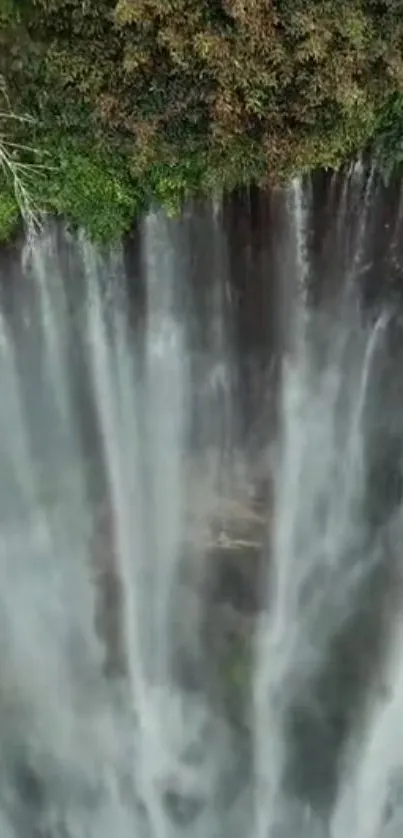 Waterfall cascading down surrounded by lush green foliage.