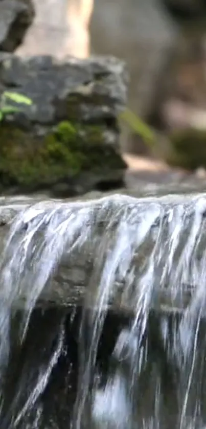 Tranquil waterfall cascading over rocks with lush mossy background.