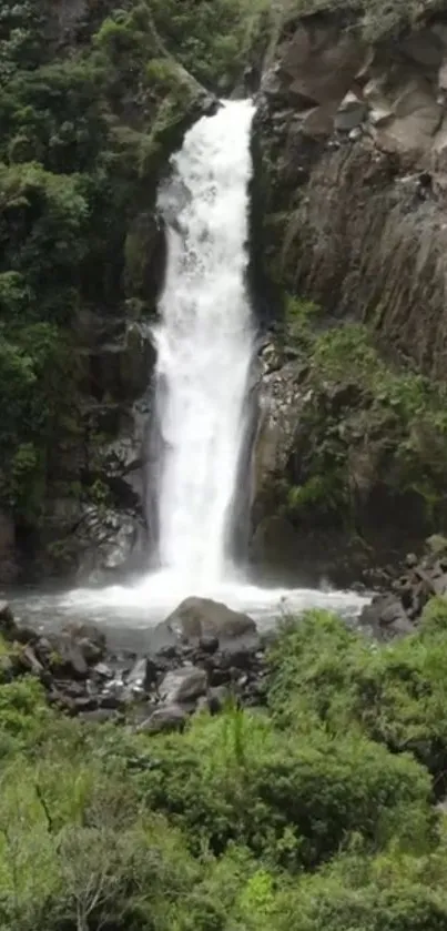 Tranquil waterfall amidst lush greenery wallpaper.