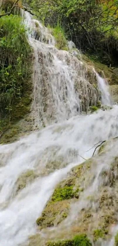 Cascading waterfall in lush green forest, perfect for mobile wallpaper.