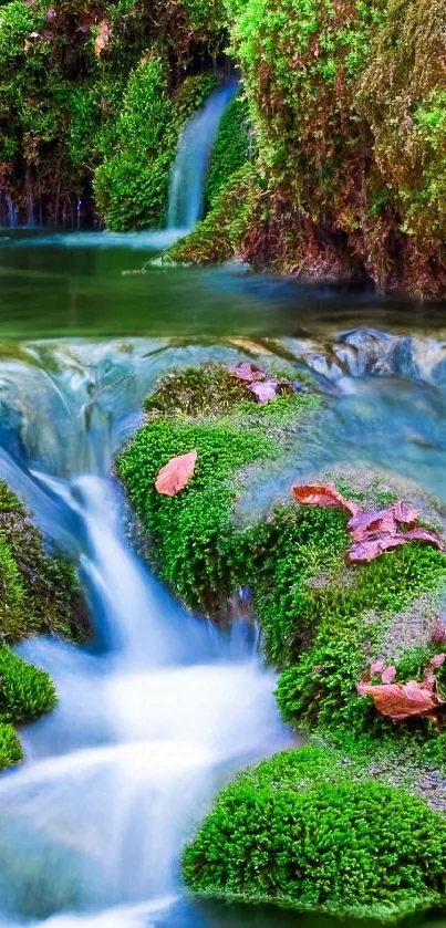 Calming waterfall over lush green moss.