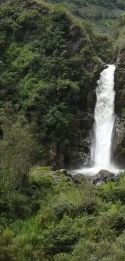 A stunning waterfall in a lush green forest setting, perfect for mobile wallpaper.