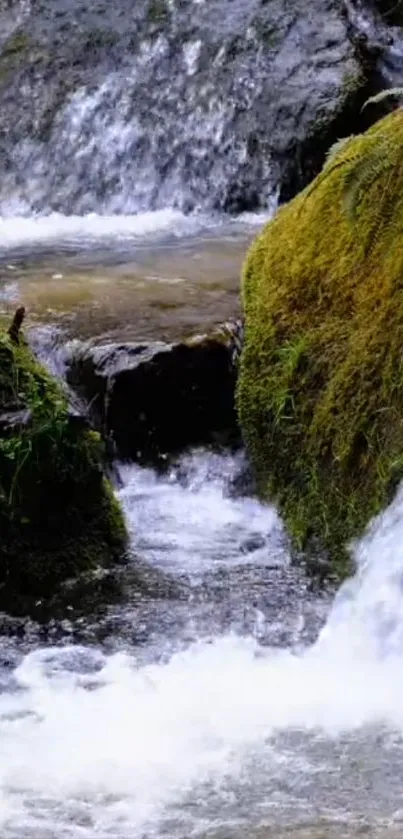 A serene waterfall flowing between mossy rocks in a forest setting.