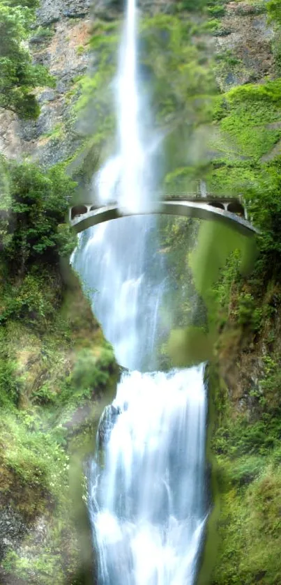 A cascading waterfall with a bridge amidst lush green nature.