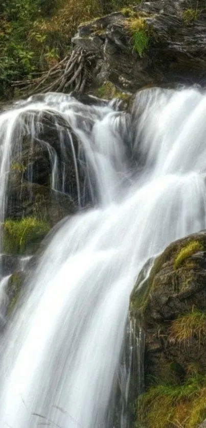 Serene waterfall mobile wallpaper with natural beauty and greenery.