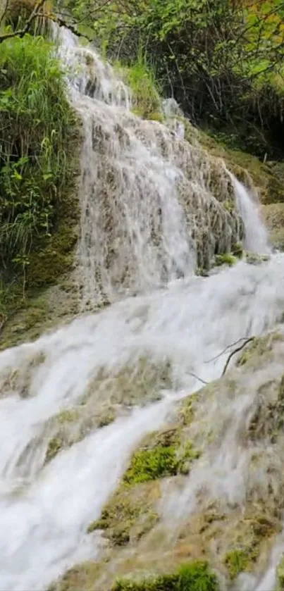 Scenic waterfall with lush greenery