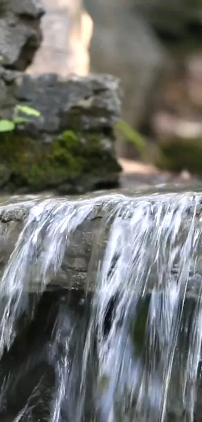 Calm waterfall over rocks in a natural setting.