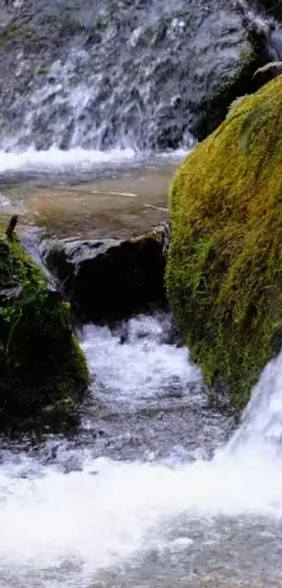 Tranquil waterfall with lush green mossy rocks and flowing water.