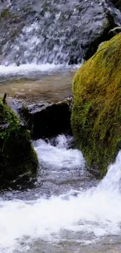 Serene waterfall stream with lush green moss and flowing water.