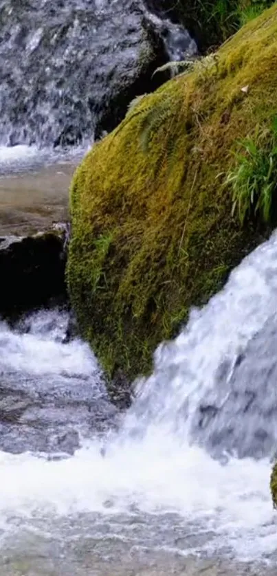 Serene waterfall stream with green moss covering rocks.