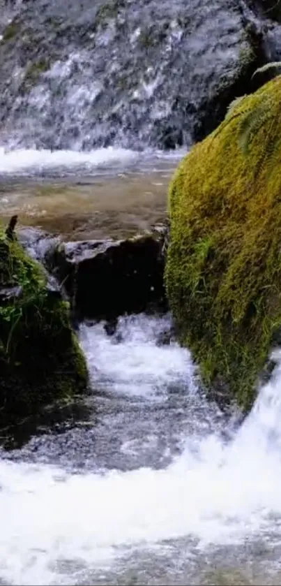 Tranquil waterfall stream with mossy rocks and lush greenery.