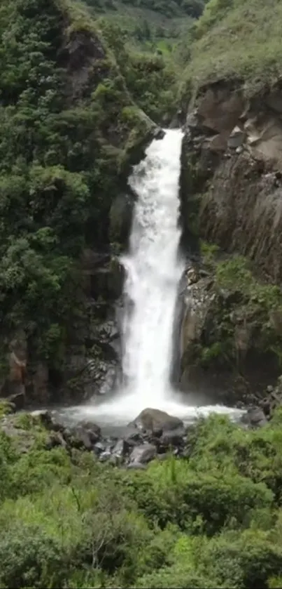 Lush green landscape with a cascading waterfall.